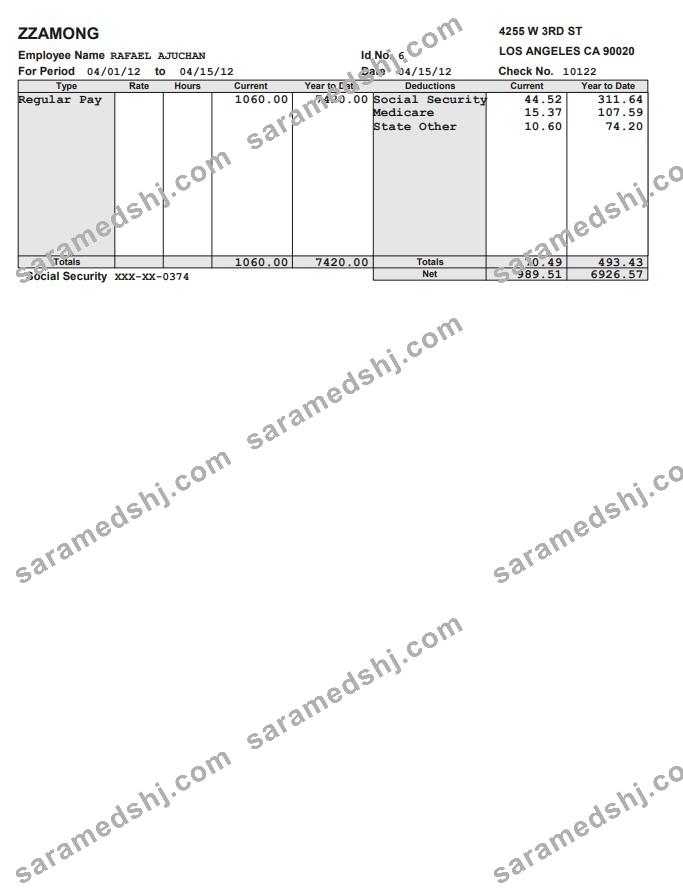 Zzamong company pay stub in PDF and Word format
